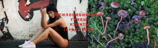 а пвп мука Бронницы